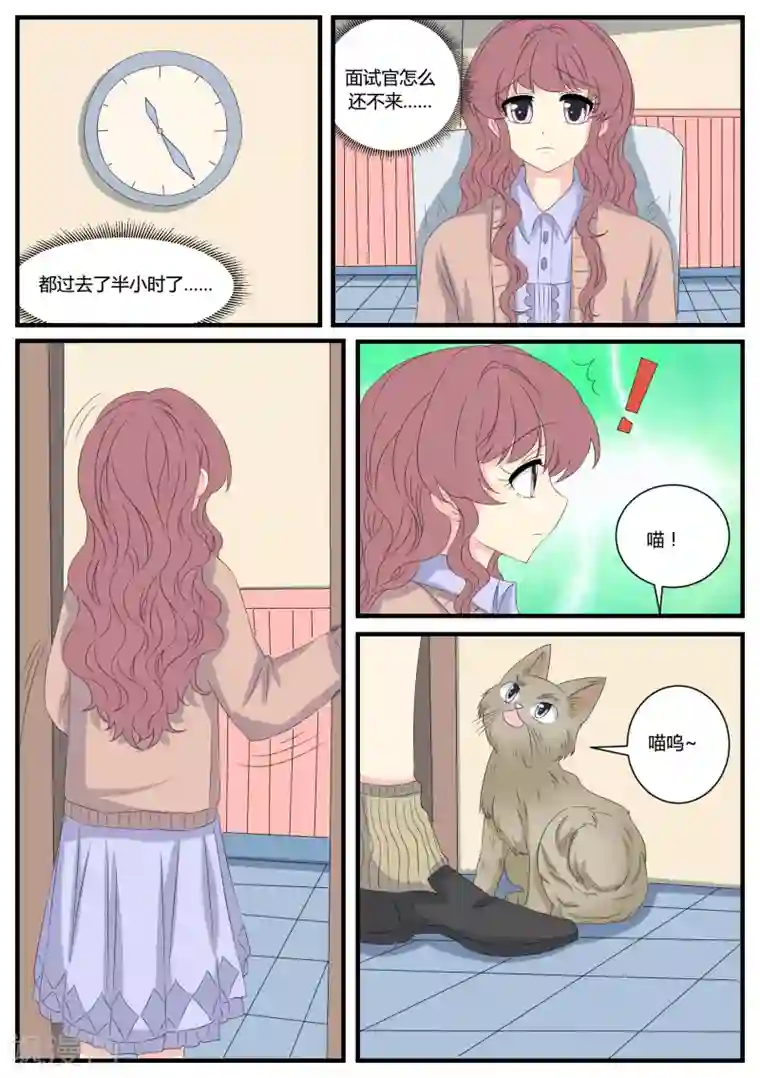 猫奴富少好缠人第39话