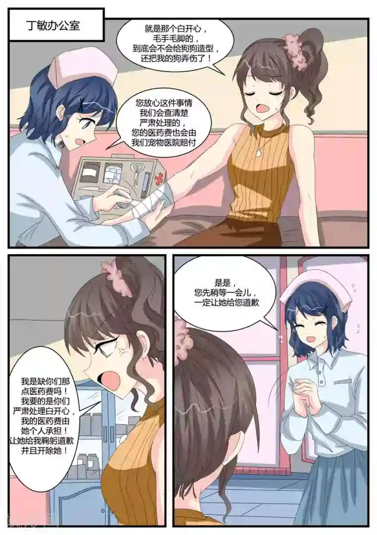 猫奴富少好缠人第40话