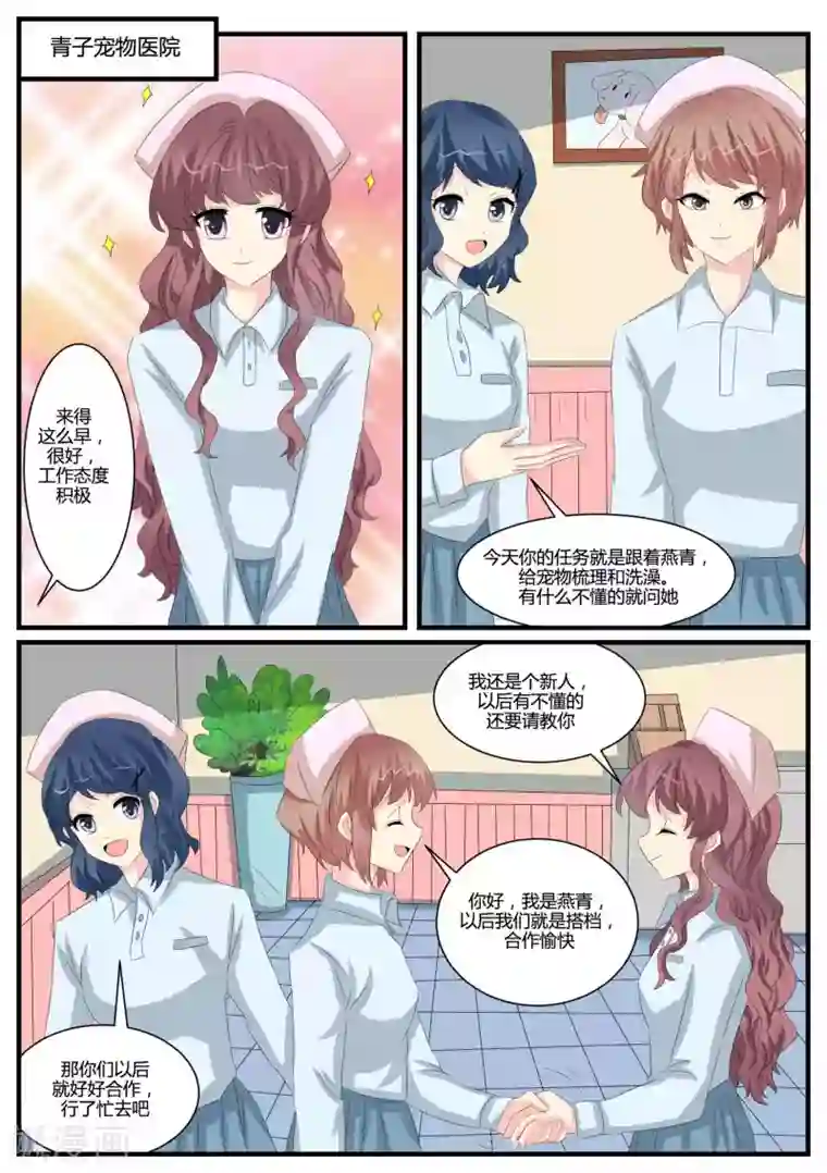 猫奴富少好缠人第40话