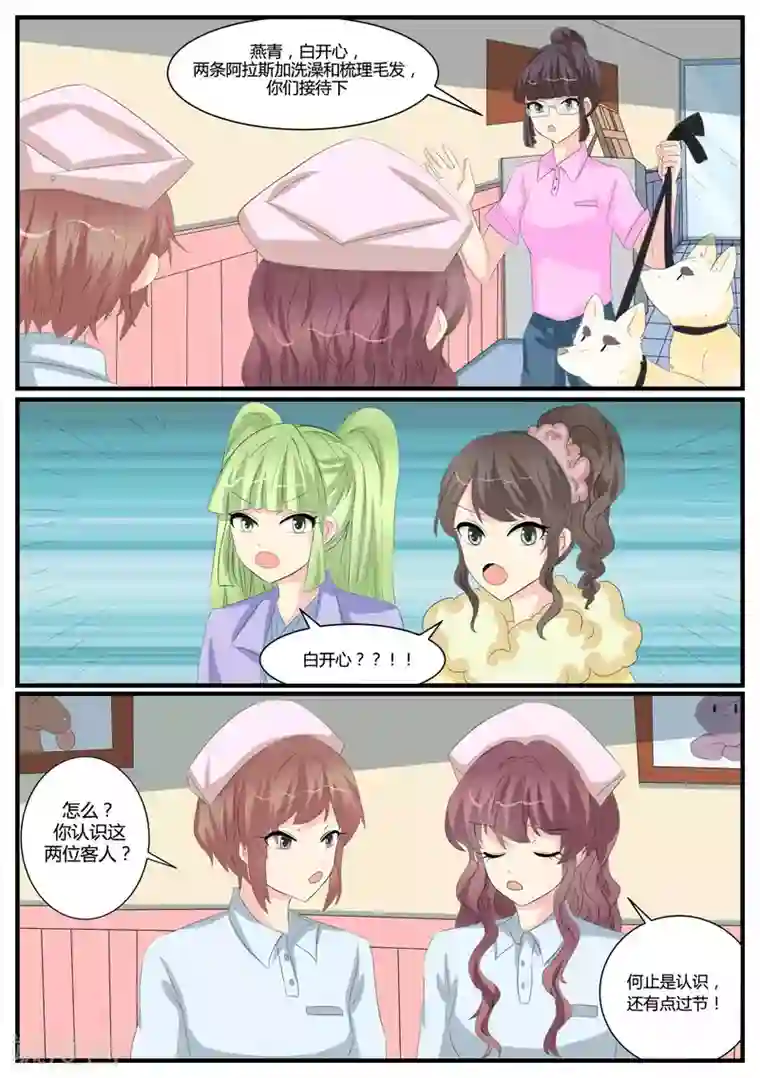 猫奴富少好缠人第40话