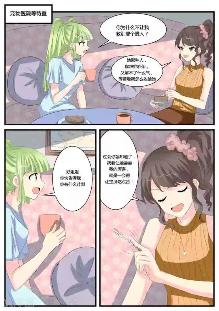 猫奴富少好缠人第40话