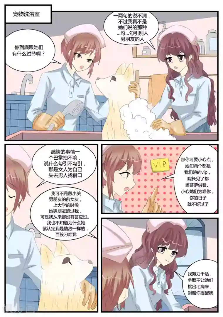 猫奴富少好缠人第40话