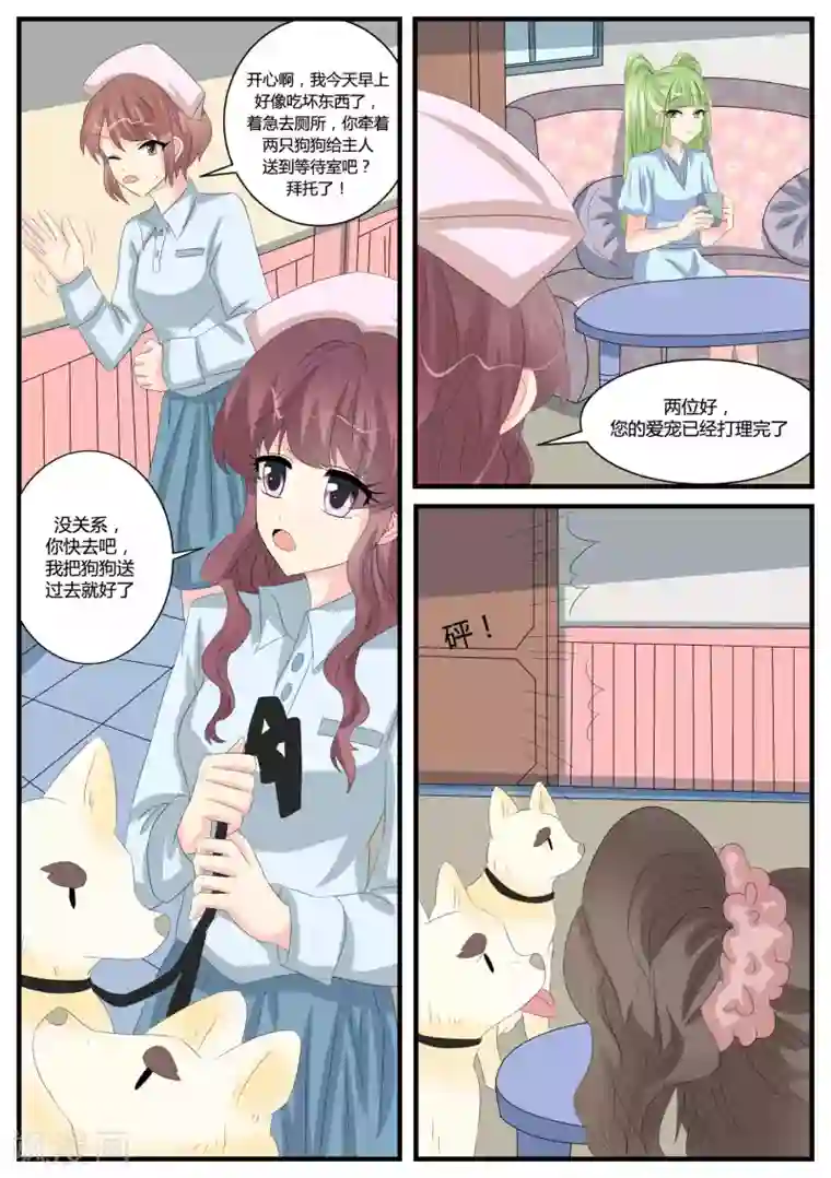 猫奴富少好缠人第40话