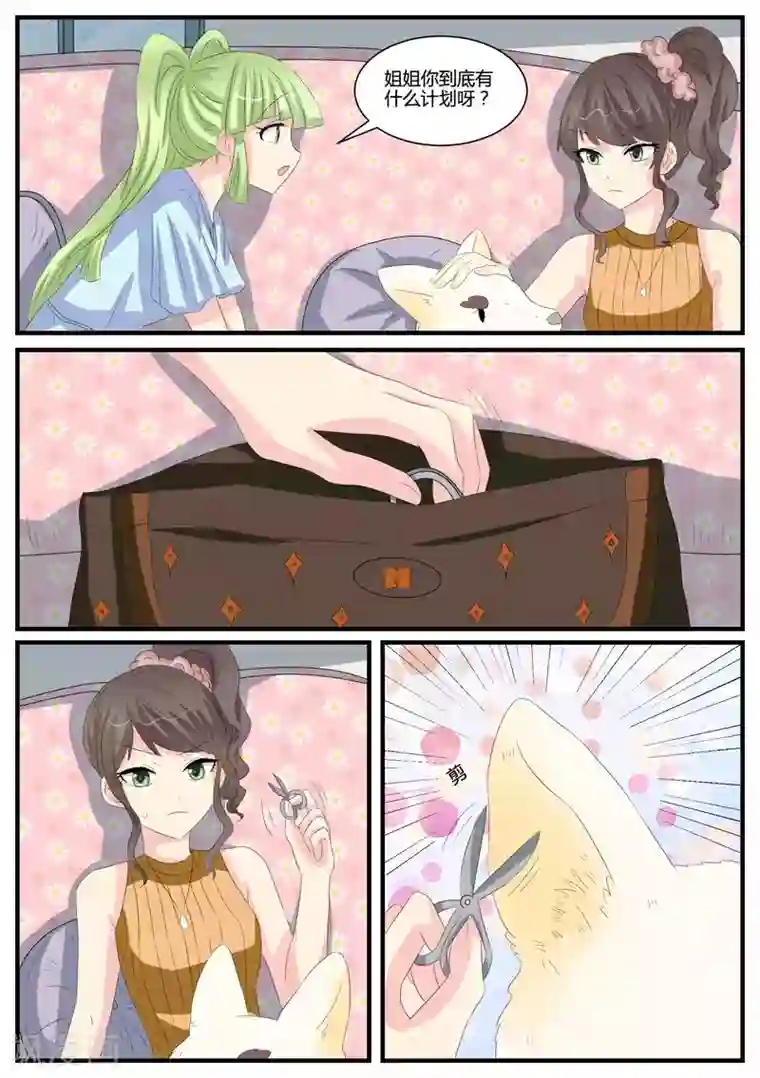 猫奴富少好缠人第40话