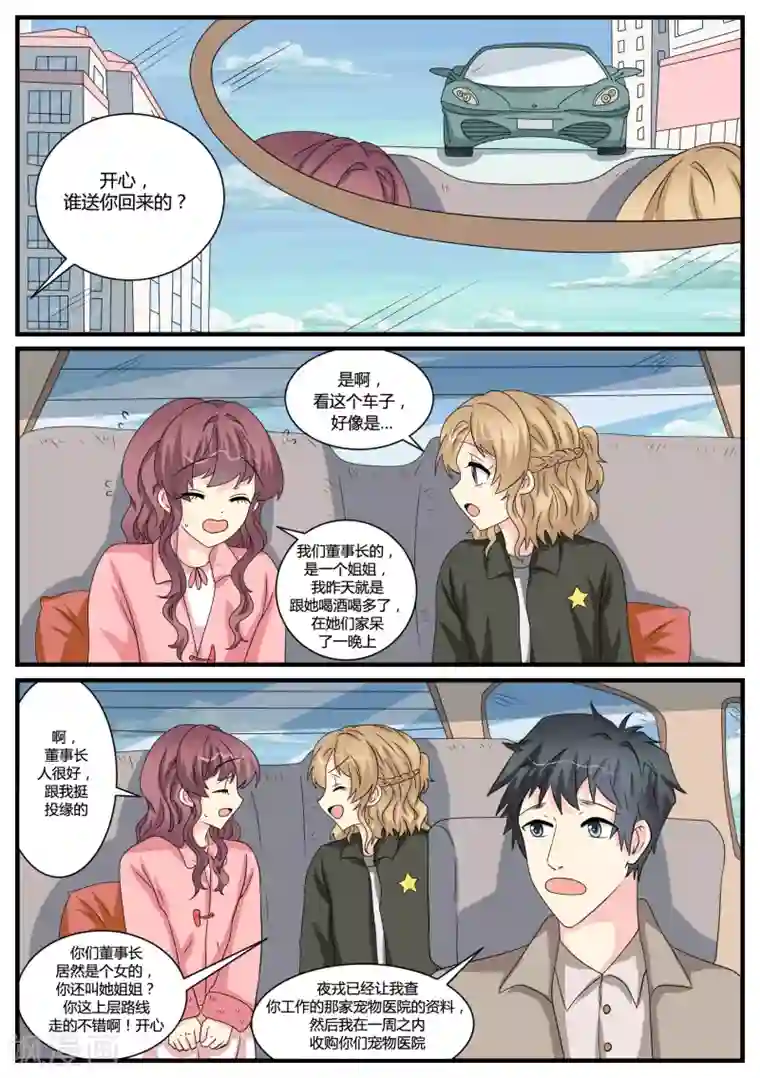 猫奴富少好缠人第41话