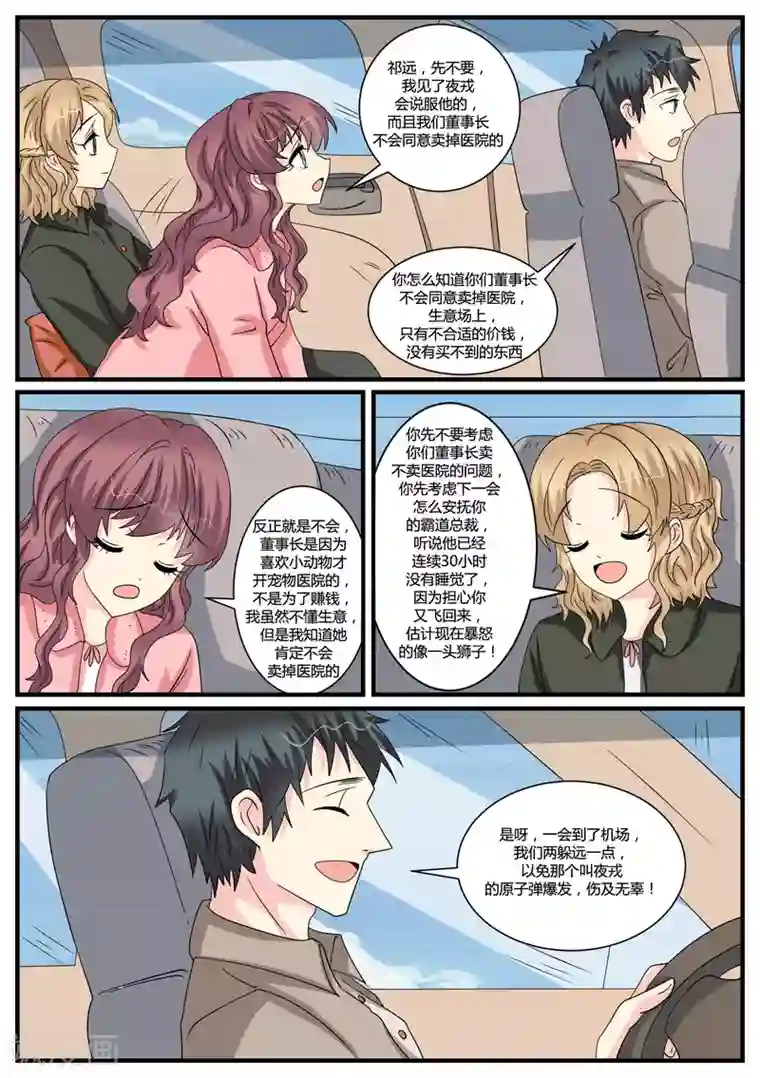 猫奴富少好缠人第41话