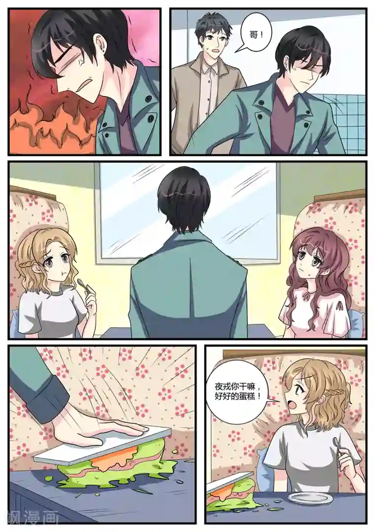 猫奴富少好缠人第42话