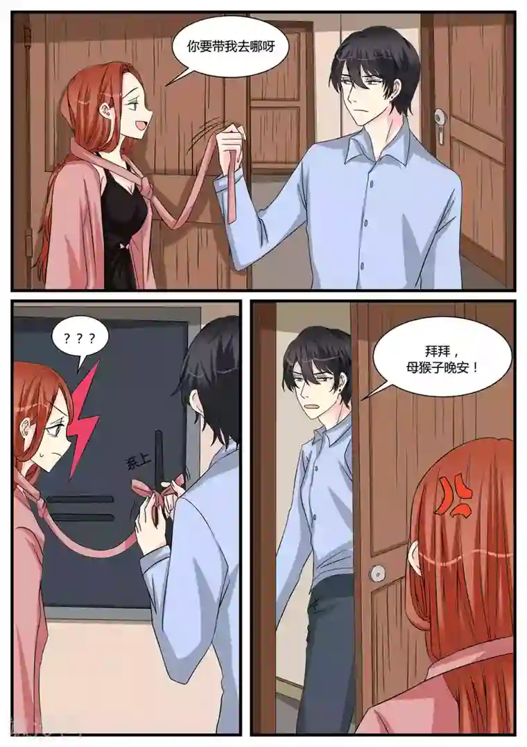 猫奴富少好缠人第43话