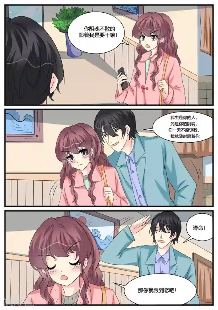 猫奴富少好缠人第45话