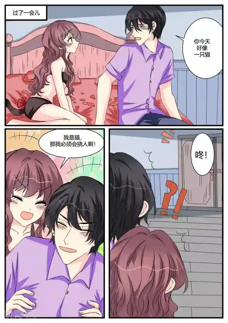 猫奴富少好缠人第45话