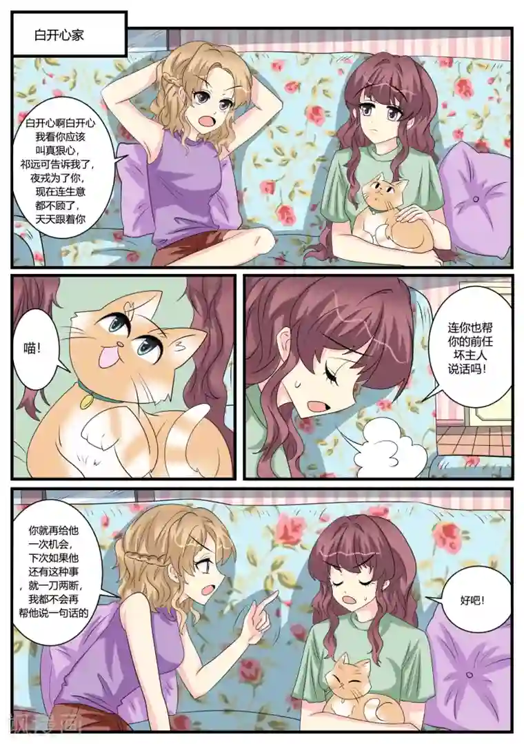 猫奴富少好缠人第45话