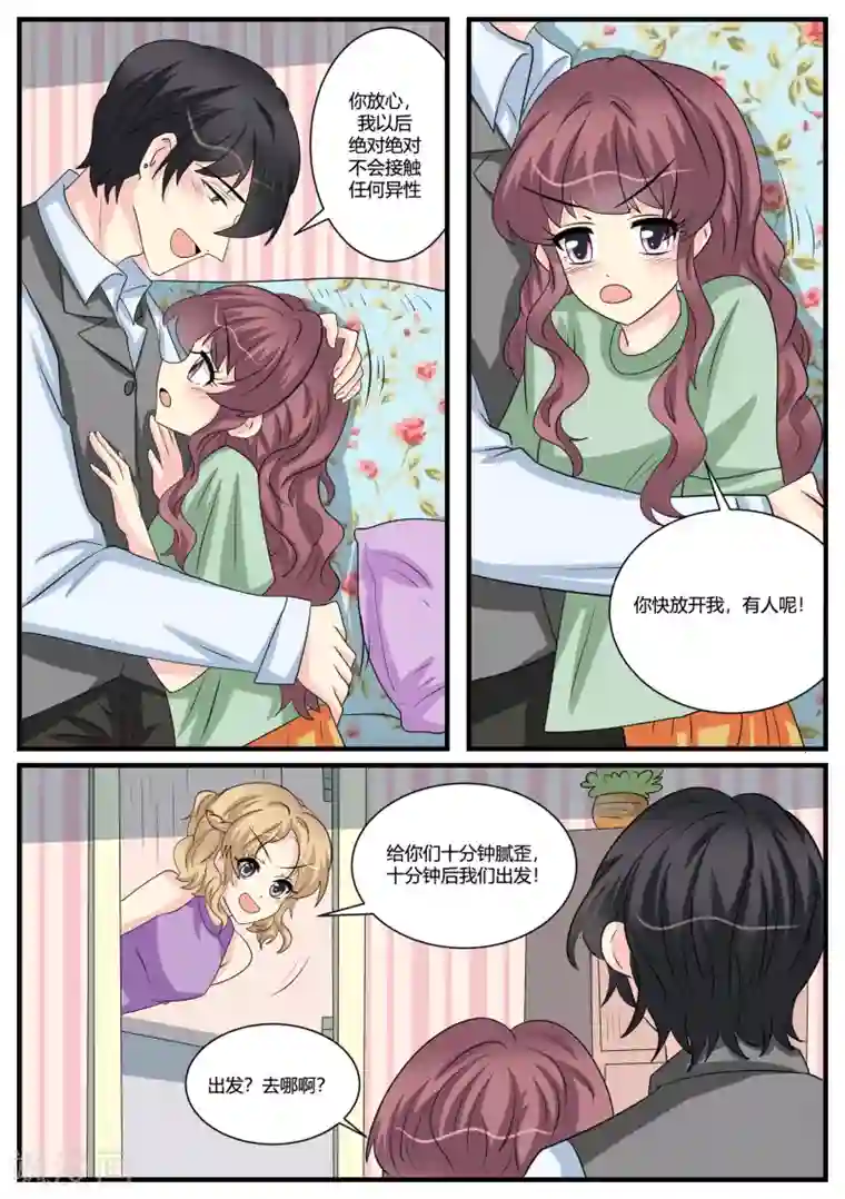 猫奴富少好缠人第45话