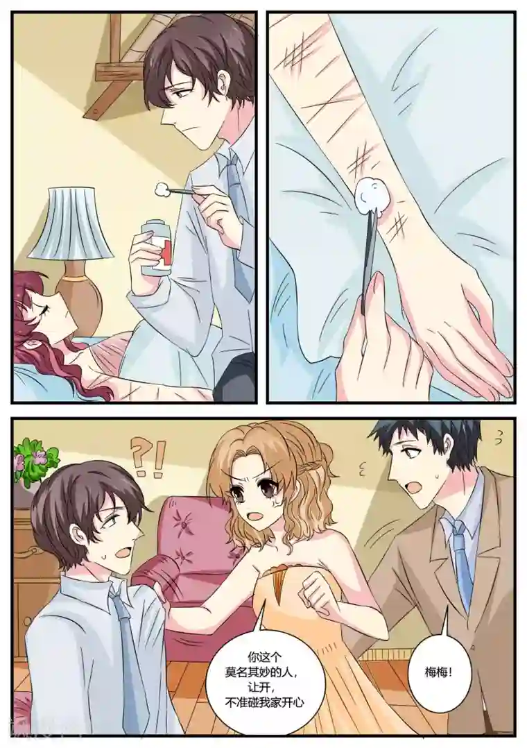 猫奴富少好缠人第47话