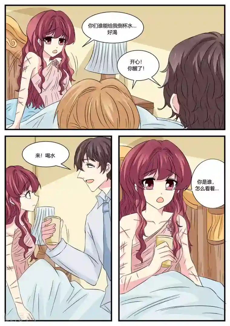 猫奴富少好缠人第47话