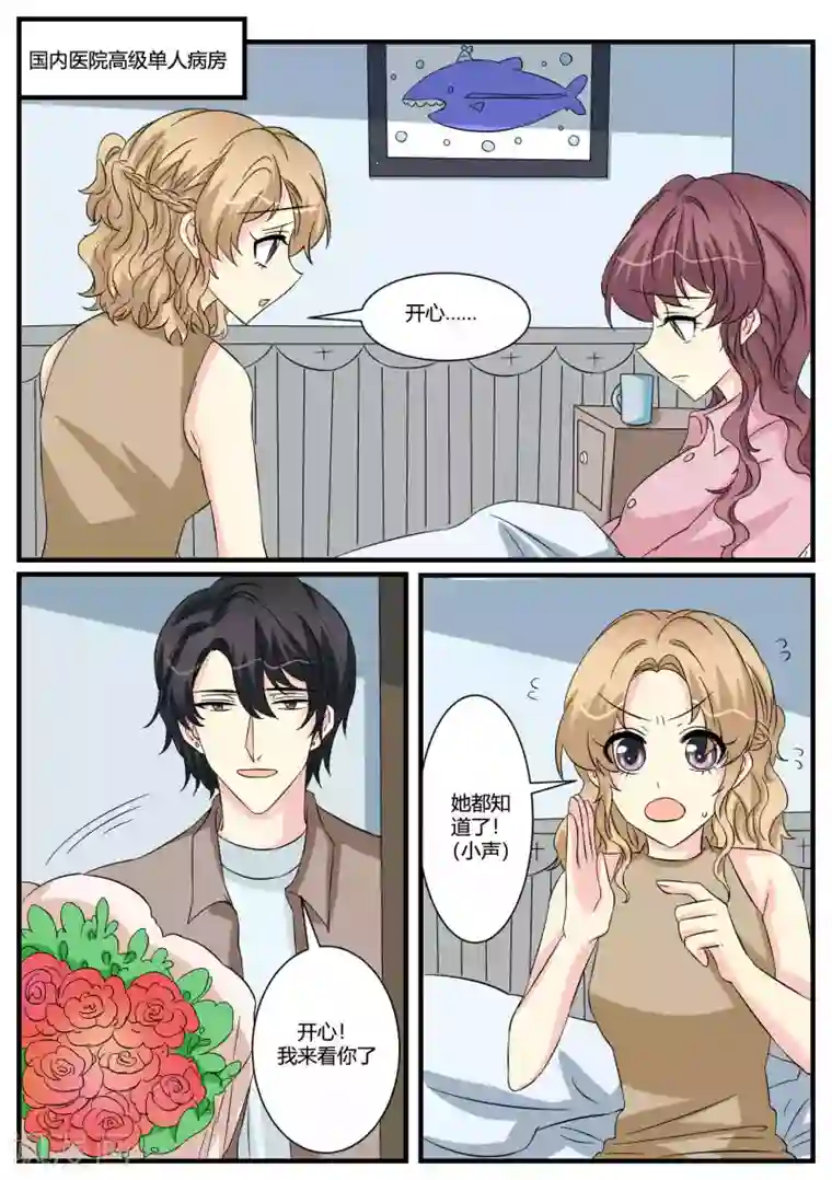 猫奴富少好缠人第48话