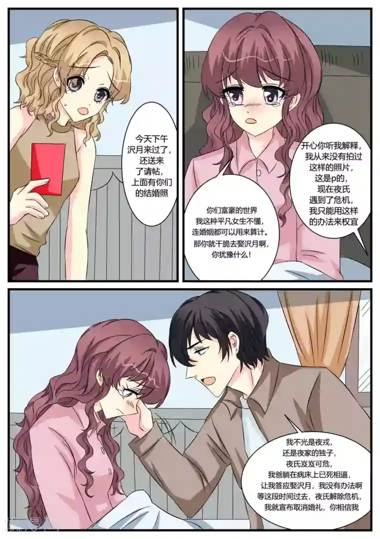 猫奴富少好缠人第48话