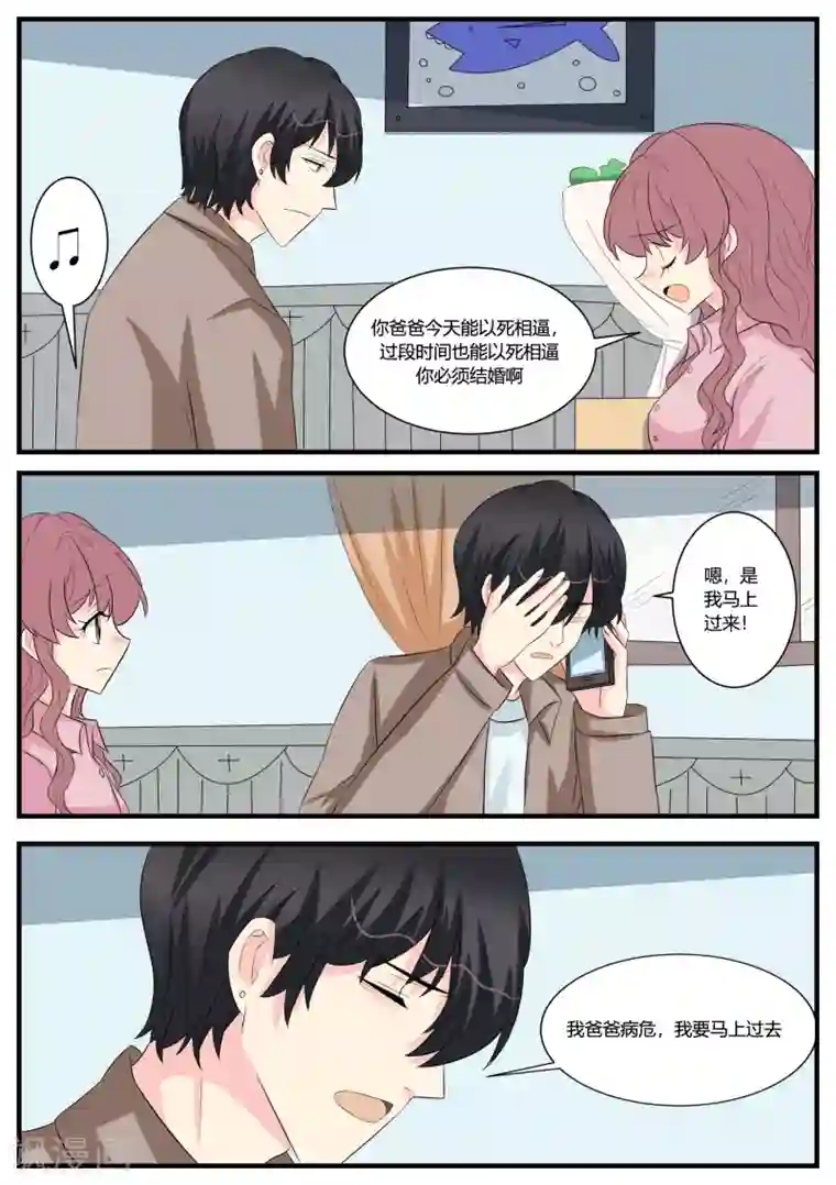 猫奴富少好缠人第48话