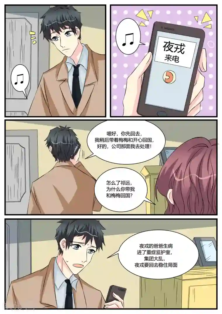 猫奴富少好缠人第48话