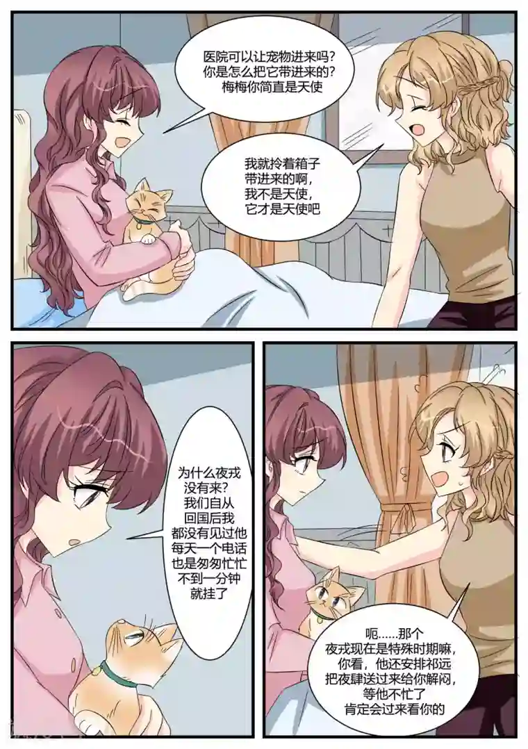 猫奴富少好缠人第48话