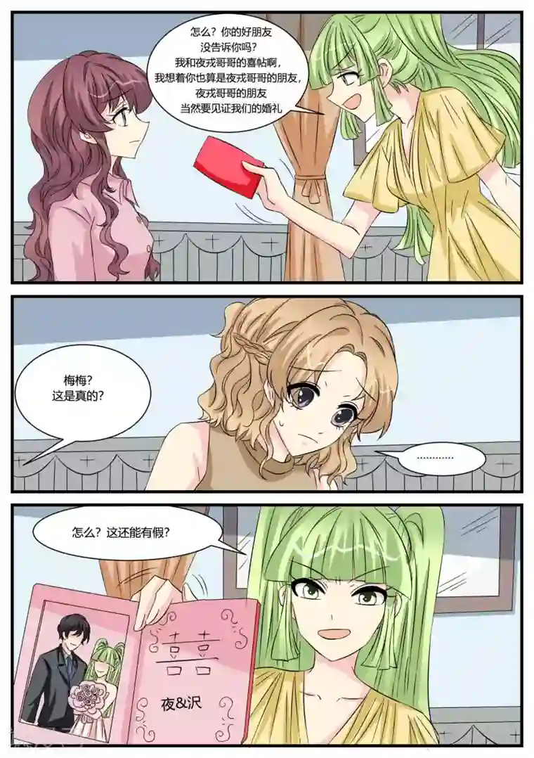 猫奴富少好缠人第48话