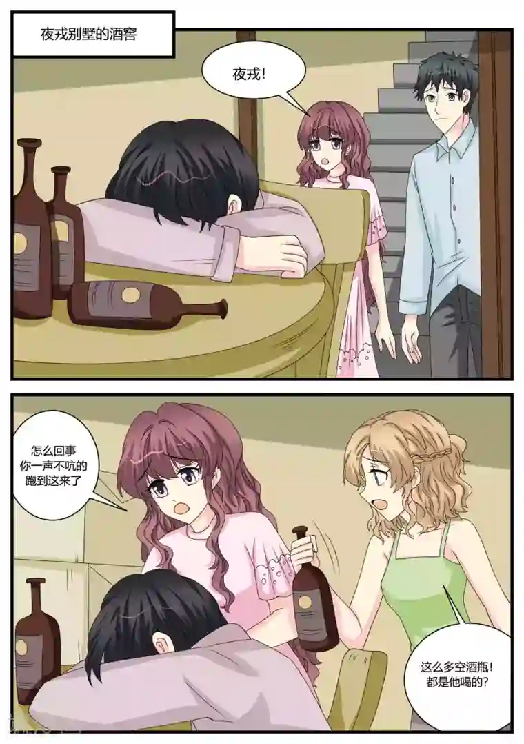 猫奴富少好缠人第49话