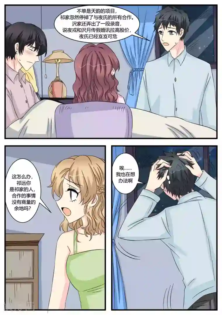 猫奴富少好缠人第49话