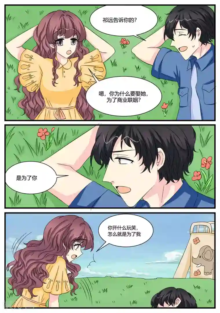 猫奴富少好缠人第49话