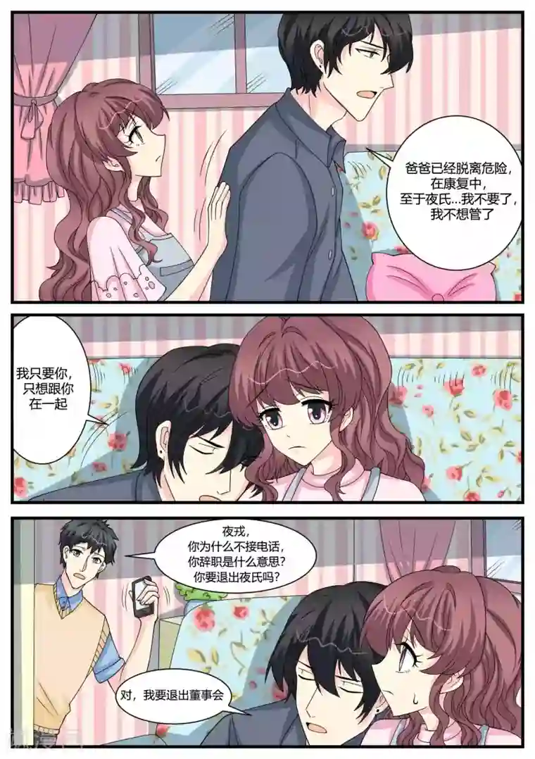 猫奴富少好缠人第49话