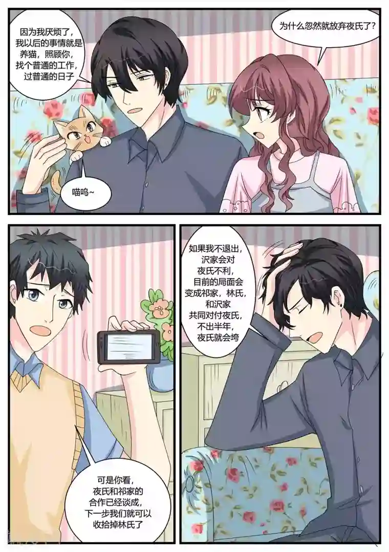 猫奴富少好缠人第49话