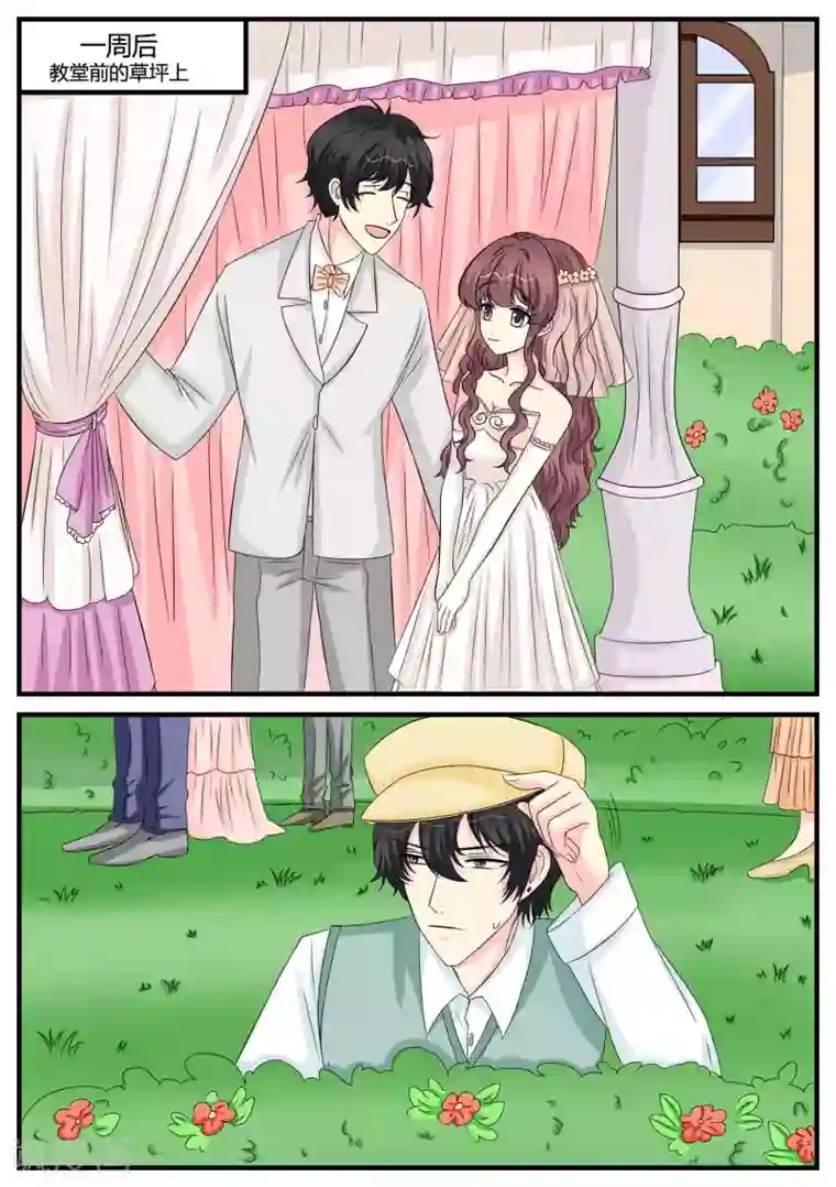 猫奴富少好缠人最终话