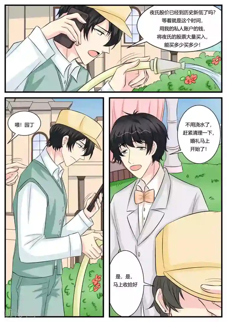 猫奴富少好缠人最终话