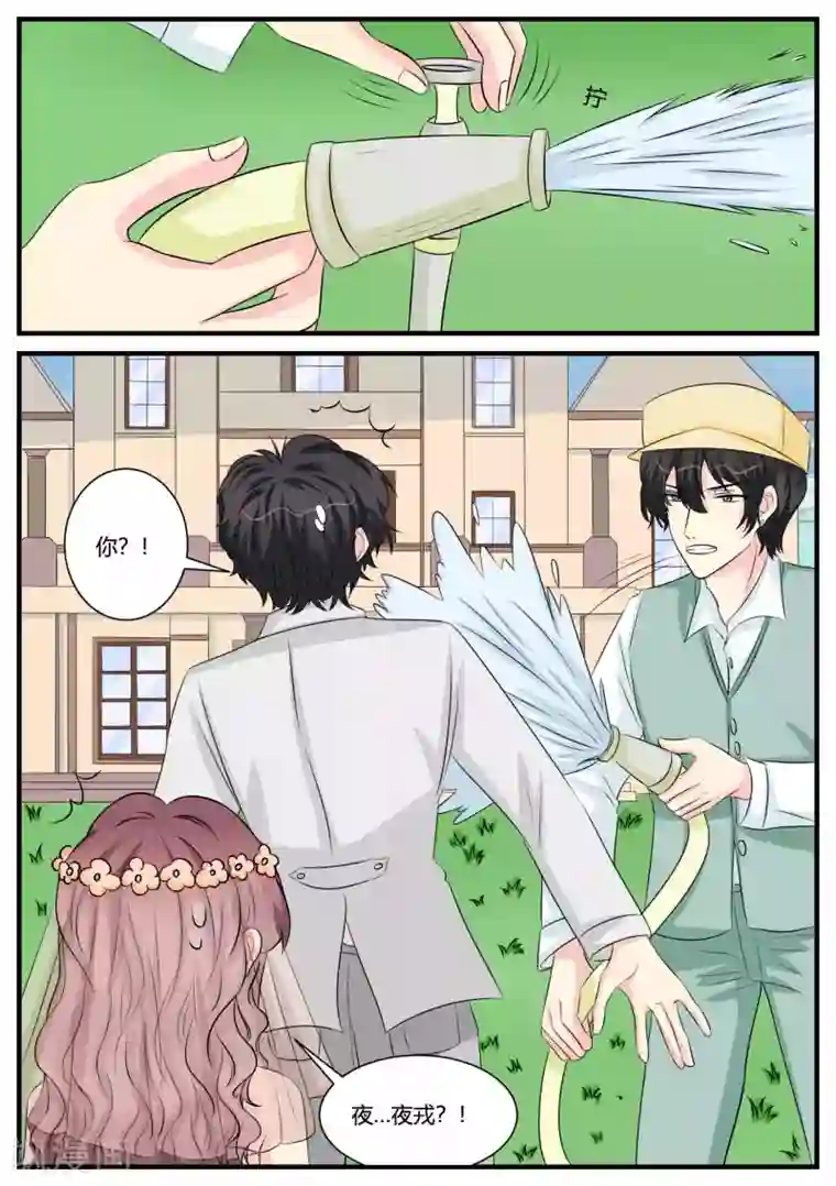 猫奴富少好缠人最终话