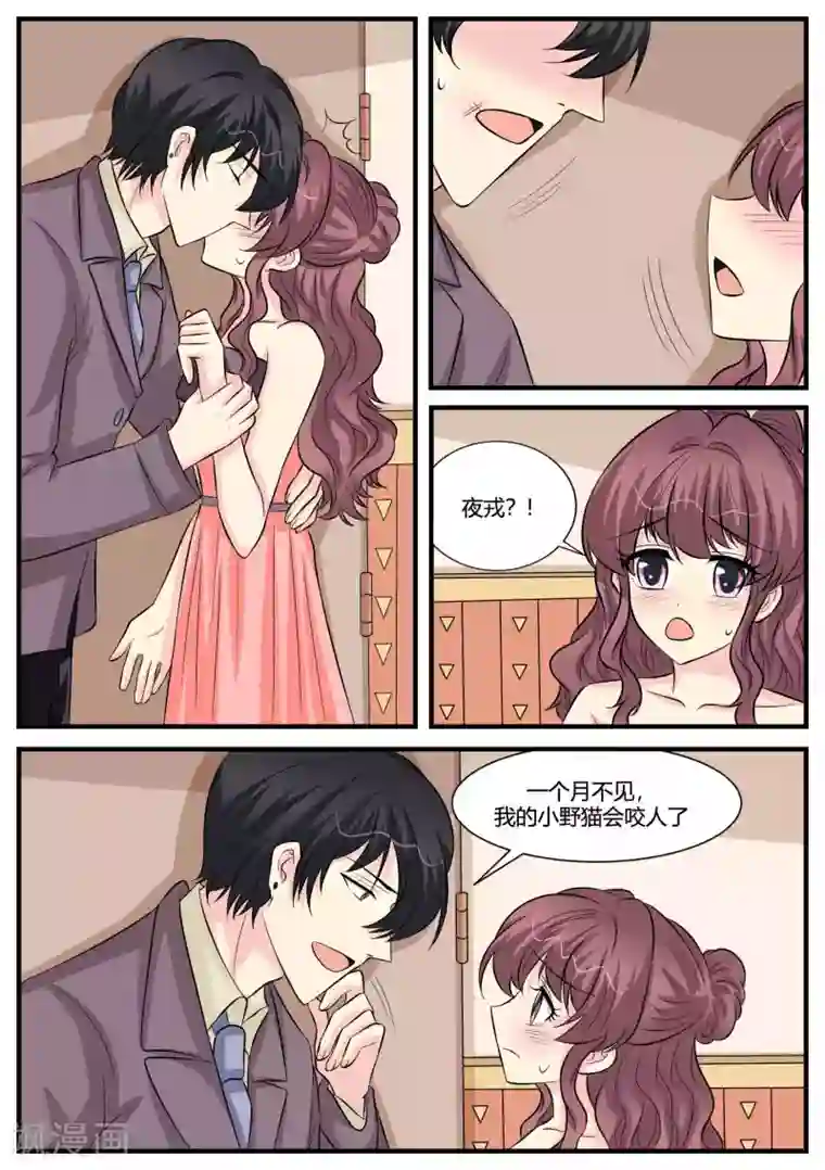 猫奴富少好缠人最终话