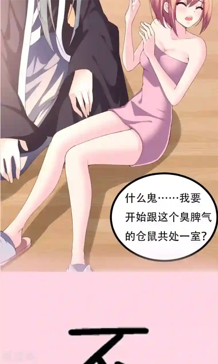 我的男神是仓鼠预告