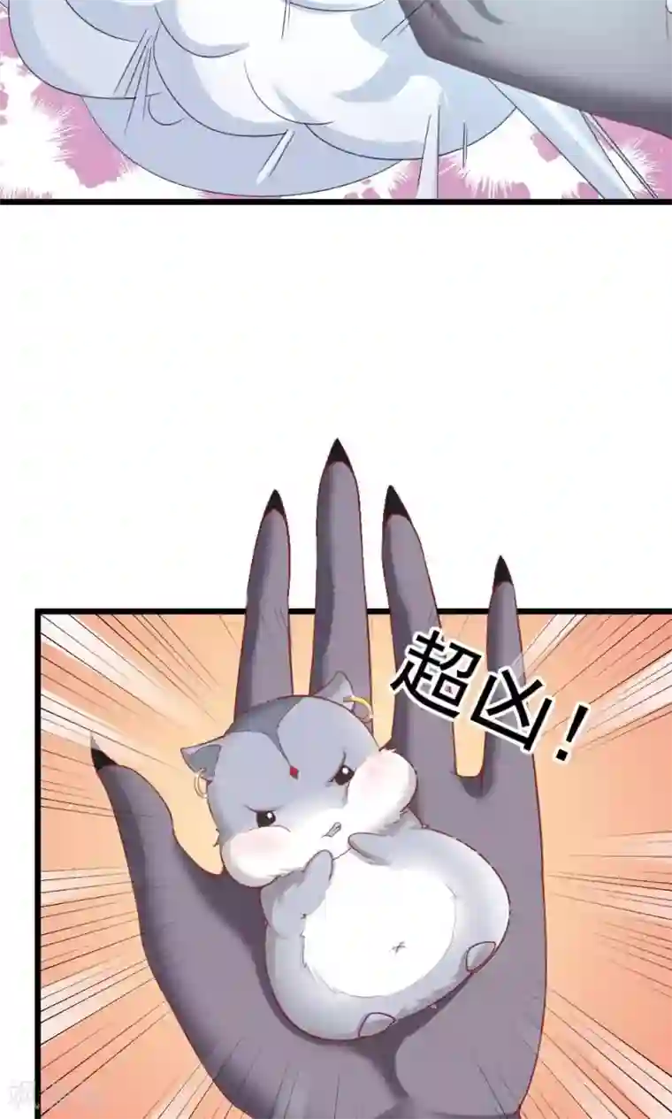 我的男神是仓鼠第1话