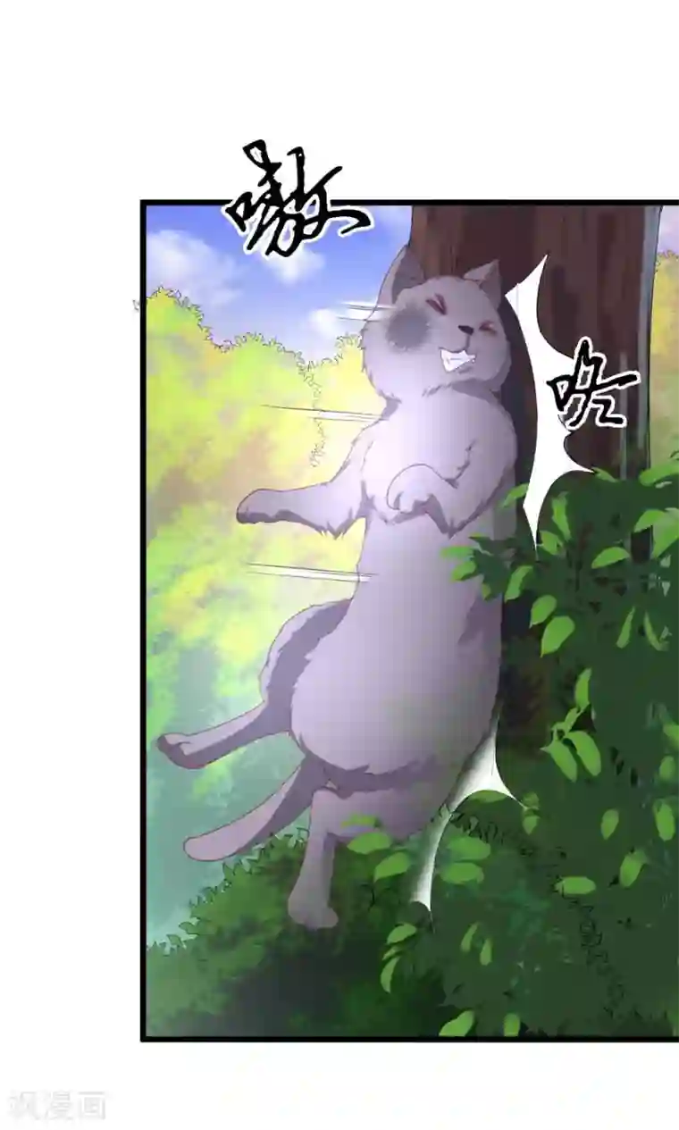 我的男神是仓鼠第1话