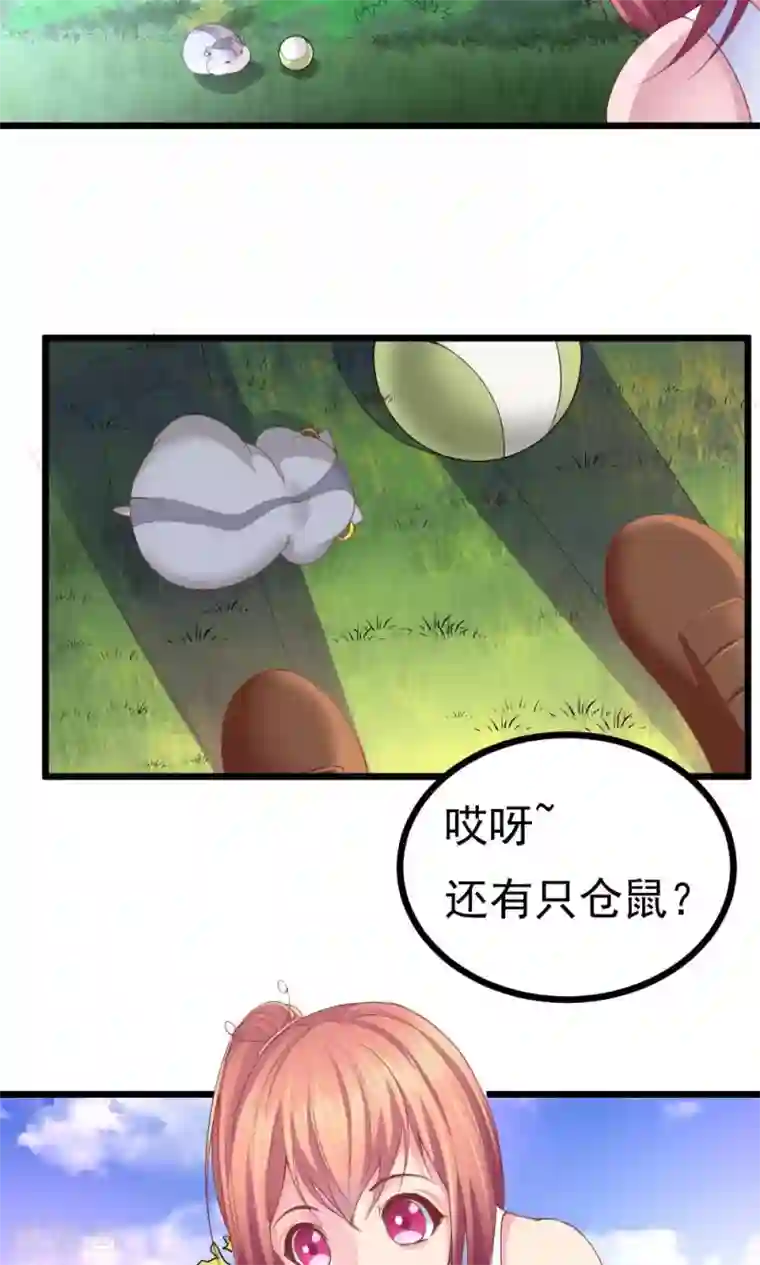 我的男神是仓鼠第1话