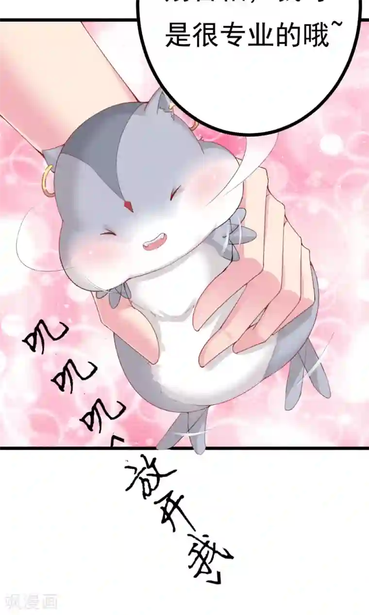 我的男神是仓鼠第2话