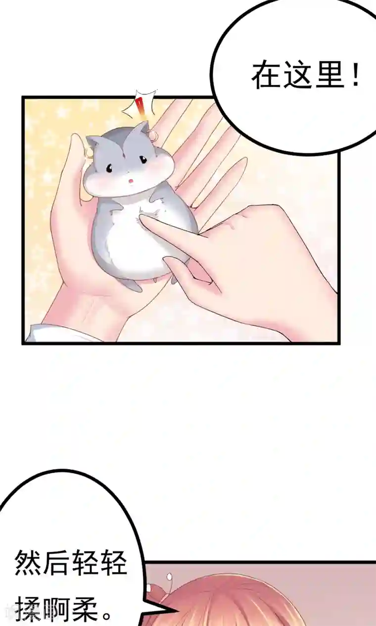 我的男神是仓鼠第2话