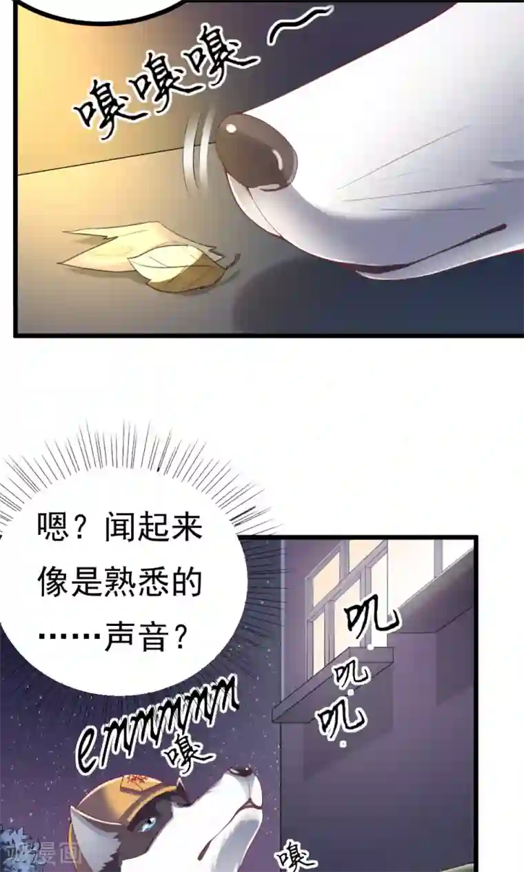 我的男神是仓鼠第2话