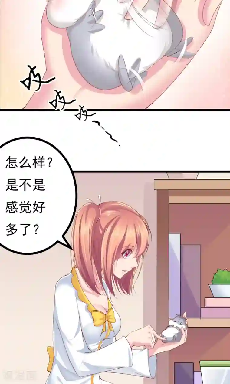 我的男神是仓鼠第2话