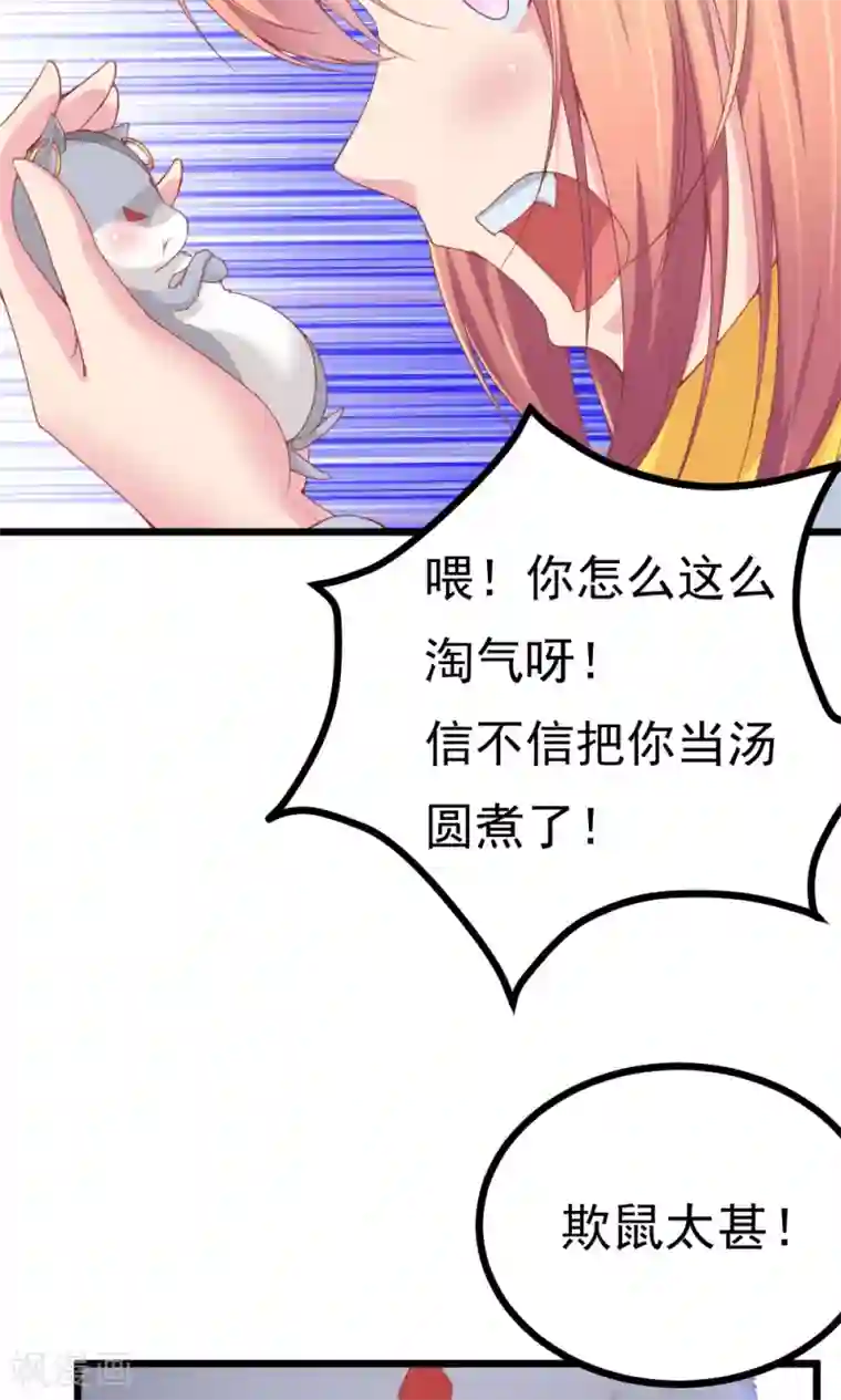 我的男神是仓鼠第2话