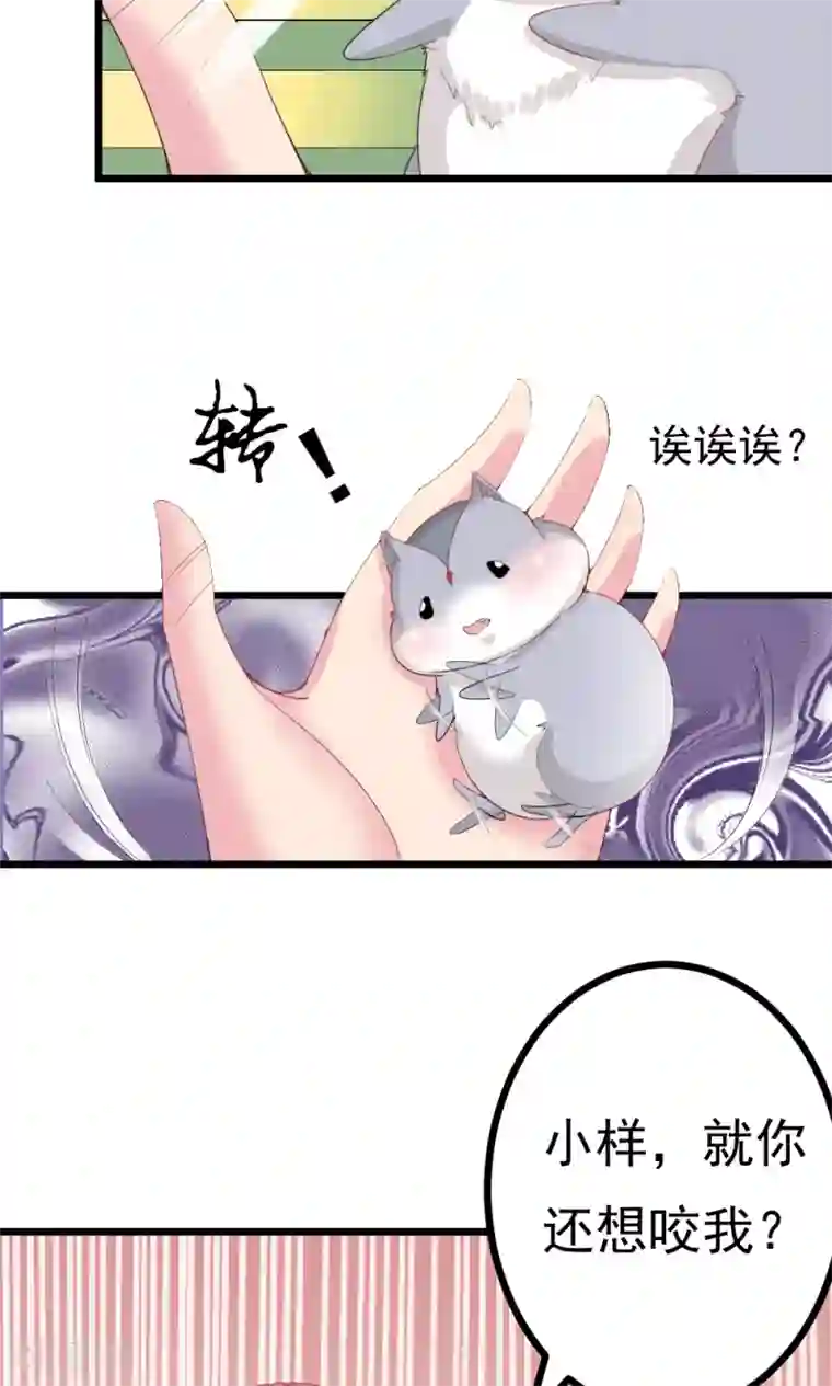 我的男神是仓鼠第2话