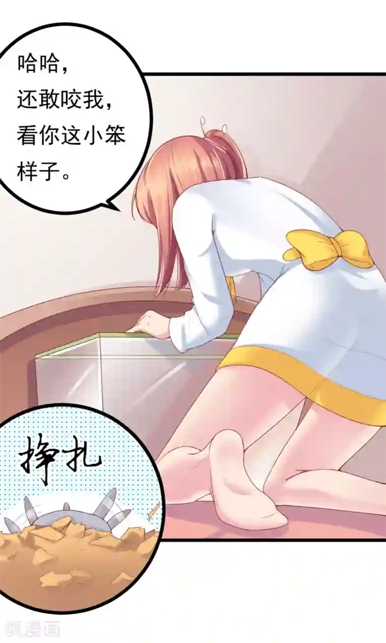 我的男神是仓鼠第2话