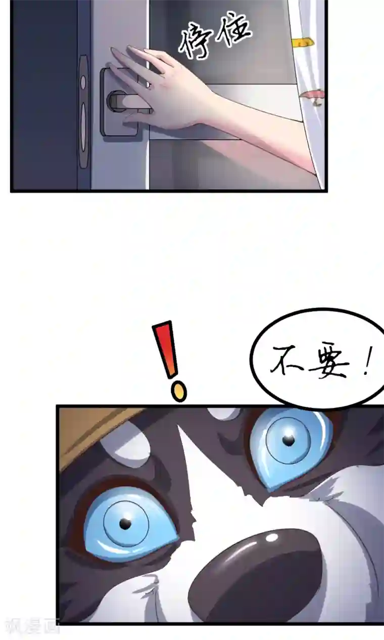 我的男神是仓鼠第2话