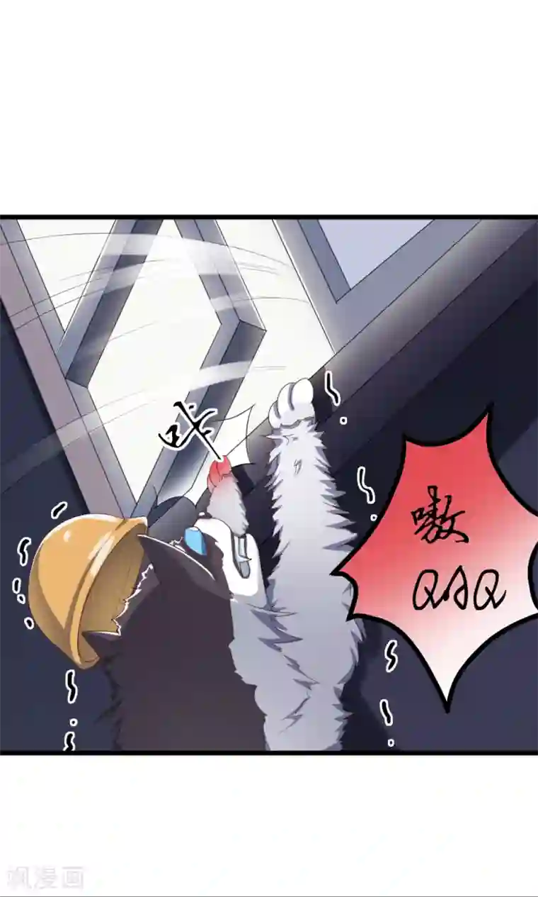 我的男神是仓鼠第2话