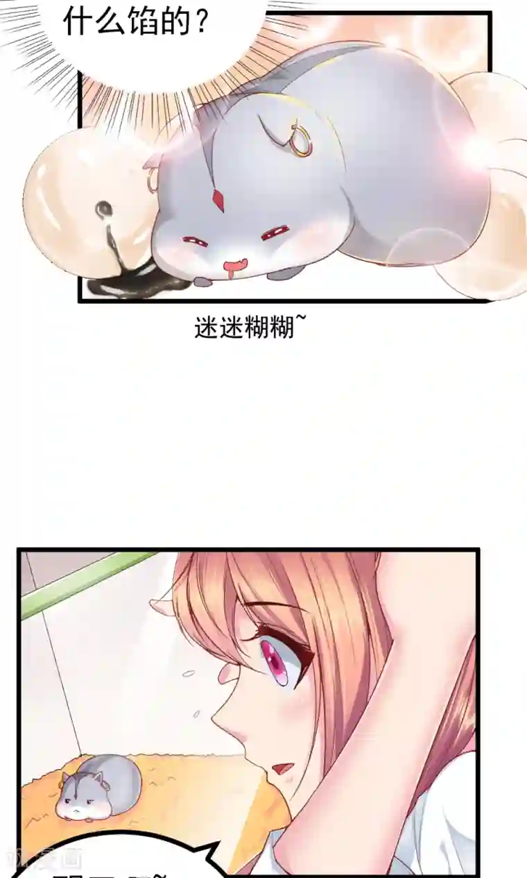 我的男神是仓鼠第2话