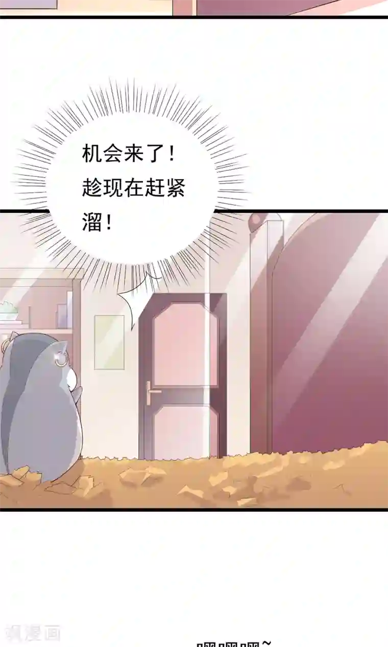 我的男神是仓鼠第2话