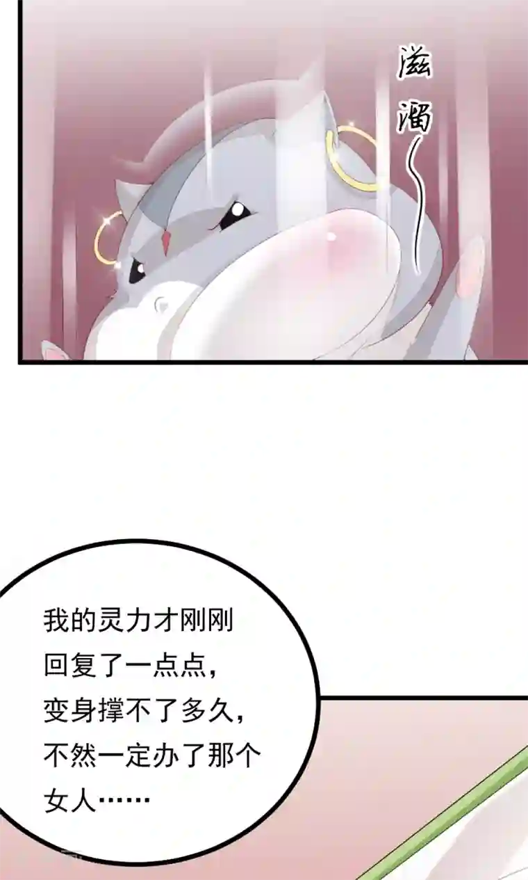 我的男神是仓鼠第2话