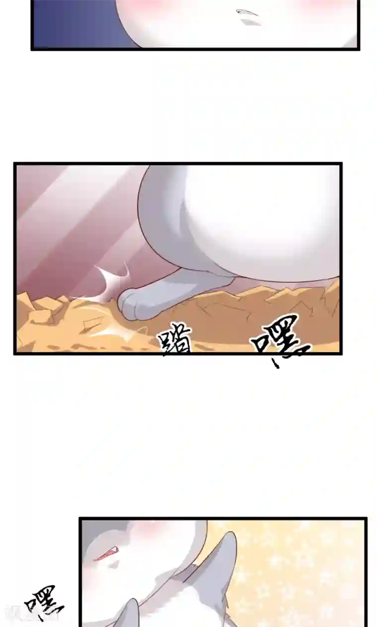 我的男神是仓鼠第2话